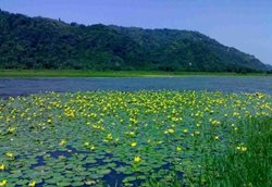 دریاچه کومله یکی از جاذبه های طبیعی استان گیلان است