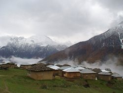 روستای نوشا یکی از روستاهای زیبای استان مازندران به شمار می رود