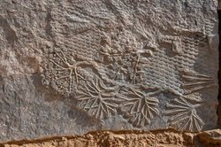 کشف هشت تخته سنگ مرمر که به طرحهایی از دوره آشوری منقش بودند