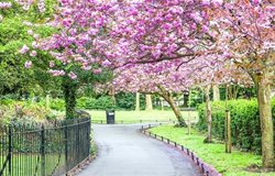 باغ سبز سنت استفان یکی از جاذبه های دیدنی ایرلند به شمار می رود