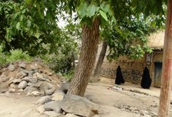 روستای وهنان یکی از روستاهای زیبای استان همدان است