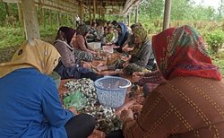 پرونده پرورش کرم ابریشم و تولید سنتی ابریشم برای بافندگی به نام ایران و شش کشور دیگر ثبت جهانی شد
