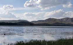 تالاب یانیق یکی از جاذبه های طبیعی آذربایجان شرقی به شمار می رود