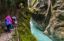 پارک ملی تریگلاو یکی از جاذبه های گردشگری اسلوونی به شمار می رود
