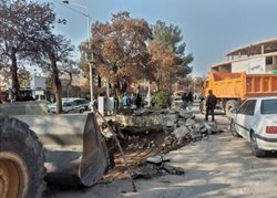 توقف عملیات عمرانی در باغ تاریخی امین اسلامی نیشابور