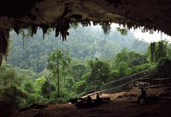 غار نیاح یکی از جاذبه های طبیعی مالزی به شمار می رود