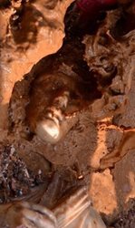 کشف مجموعه ای از مجسمه های کامل و سرهای مجسمه های ایزدان یونان باستان در ترکیه