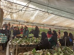 نخستین تور بازدید از گلخانه های پاکدشت برگزار می شود