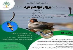 برگزاری کارگاه آموزشی پرنده نگری در مازندران