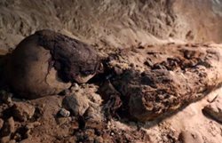 کشف قبر یک کودک خردسال در مصر که همراه با 142 سگ دفن شده بود