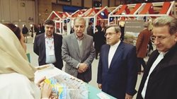 استقبال از غرفه ایران در نمایشگاه گردشگری فیتور 2023 بیشتر از سالهای اخیر بود