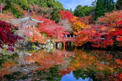 راهنمای سفر به کیوتو ژاپن؛ شهری دیدنی و گردشگر پذیر
