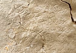 کشف سنگ نوشته ای با اشعار سعدی در کوهستانهای دشت مرودشت