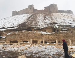 بررسی خسارتهای ناشی از زلزله های اخیر به محوطه ها و بناهای تاریخی سوریه و ترکیه