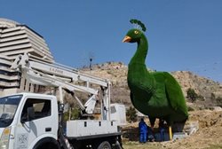نماد طاووس با تغییرات بسیار اندک نسبت به طاووس قبلی در محل دروازه قرآن شیراز ظاهر شد