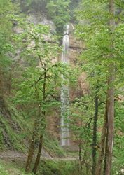 آبشار تودارک یکی از جاذبه های گردشگری استان مازندران به شمار می رود