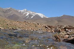 منطقه حفاظت شده گلپرآباد یکی از جاذبه های گردشگری استان همدان به شمار می رود