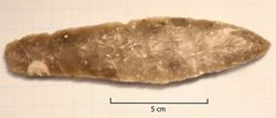 یک دختر هشت ساله نروژی یک خنجر متعلق به عصر حجر را کشف کرد