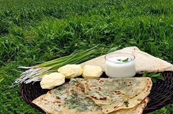 کلانه و شلکینه دو نان محلی استان کردستان به شمار می روند