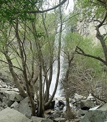 آبشار ورچر یکی از جاذبه های طبیعی استان قزوین به شمار می رود