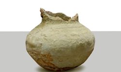 اهالی رودان آثار سفالی هزاره نخست قبل از میلاد را به میراث فرهنگی هرمزگان تحویل دادند