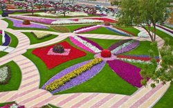 باغ گلها یکی از جاهای دیدنی استان کرمانشاه به شمار می رود