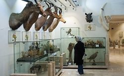 انتقاد رئیس گروه موزه های خراسان رضوی از بی توجهی به موزه ها