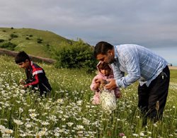 جشنواره گلهای بابونه روستای پیشنبور ظرفیتی برای توسعه گردشگری در مازندران است