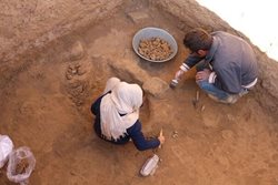 کاوشهای باستان شناسی محوطه ویرانشهر از سر گرفته شد