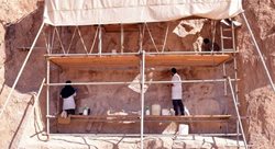 تکمیل 44 پروژه مرمتی گامی بلند در جهت حفاظت از میراث فرهنگی فارس است