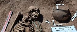 کشف قبر دست نخورده یک ارابه ران در منطقه سیبری