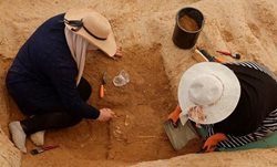 کشف 125 مقبره در گورستانی رومی واقع در غزه