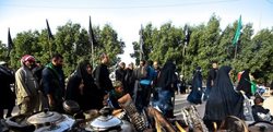 3000 موکب ایرانی در اربعین برپا می شود