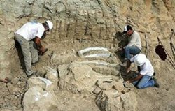 کشف بقایای یک بنای یادمانی مهم مربوط به دوره اشکانی در محوطه ویرانشهر