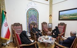 ضرغامی با سفیر جدید ایران در فنلاند دیدار کرد