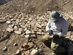 کشف شواهدی جدید از یک نیایشگاه دوره ساسانی در محوطه تاریخی بازه هور