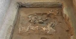 کشف بقایای یک ارابه باستانی که توسط گوسفندان حمل میشد