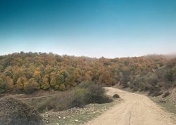 سنگنو روستایی ییلاقی در استان مازندران است