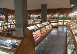 موزه تاریخ طبیعی دانشگاه بوعلی سینا یکی از موزه های دیدنی ایران است