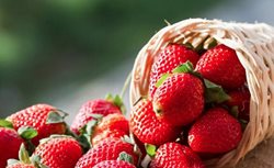 طعم شیرین بهترین میوه های اردیبهشت ماه: راهنمای خرید و مصرف