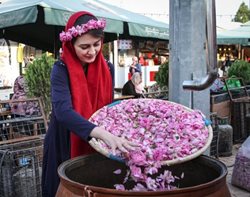 بیستمین جشنواره گل و گلاب تهران در فرهنگسرای اشراق برگزار می شود