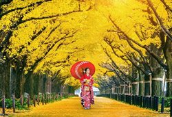 ژاپن بهشت سفرهای ارزان قیمت در جهان است