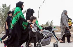 راهنمای جامع و کاربردی سفر اربعین: نکات کلیدی برای بانوان، کودکان، سالمندان و بیماران خاص