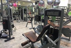 نقشه گنج تناسب اندام: محبوب ترین باشگاه های ورزشی زنانه منطقه 1 تهران (مهر 1404)
