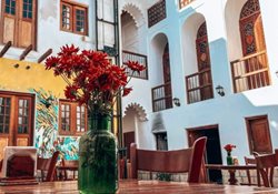 محبوب ترین کافه های بوشهر در آبان 1404: از کیک دارچینی تا قهوه های تازه