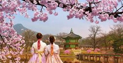 تور کره جنوبی نوروز 1405: سفری به سرزمین کی پاپ و سریال های خاطره انگیز