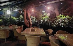 کافه های دنج تهران برای بعد از افطار؛ لیست پاتوق های باز پایتخت تا ساعت 3 صبح