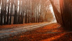 راهنمای سفر یک روزه به شهریار از دیدنی ها تا اقامت