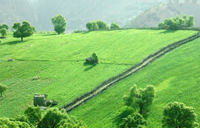 تور یاسوج