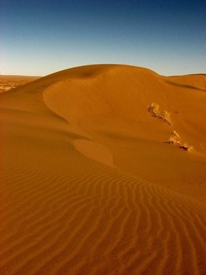 تور شب یلدا در کویر مصر